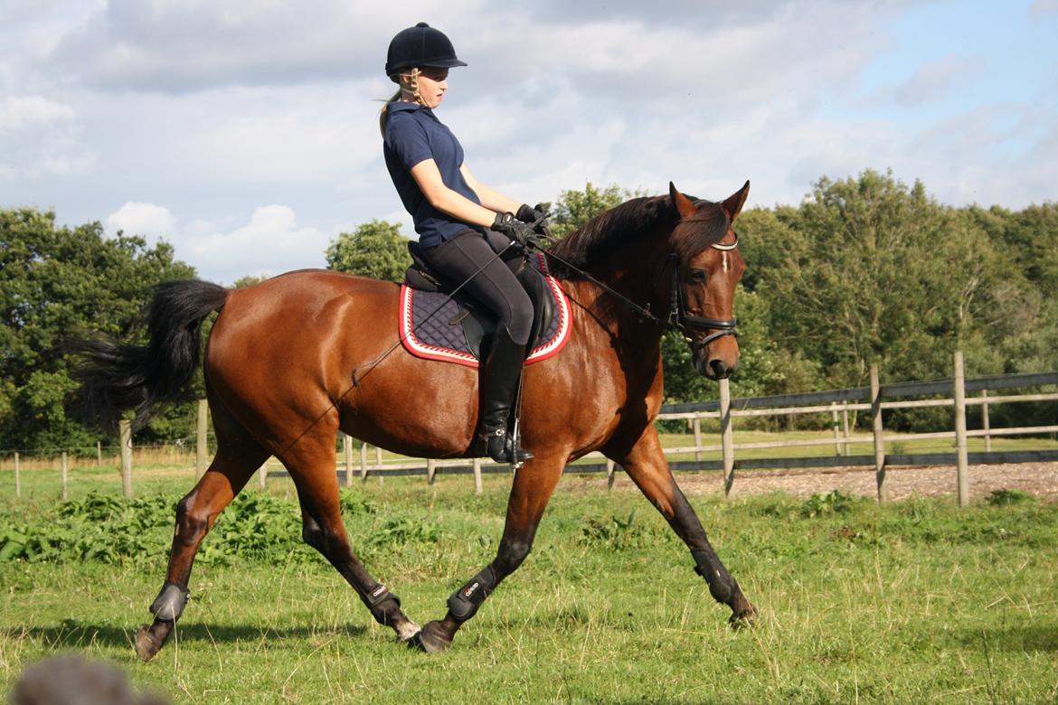 Anden særlig race Christiansejes Peanut billede 18
