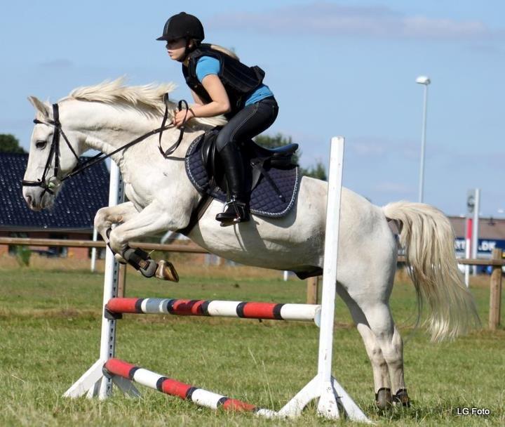 Anden særlig race MisseKatten Lucas<3 - Springning billede 2