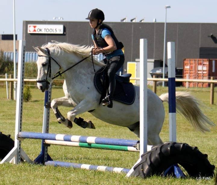 Anden særlig race MisseKatten Lucas<3 - Springning billede 16