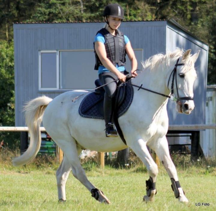 Anden særlig race MisseKatten Lucas<3 - Opvarmning til springning billede 17