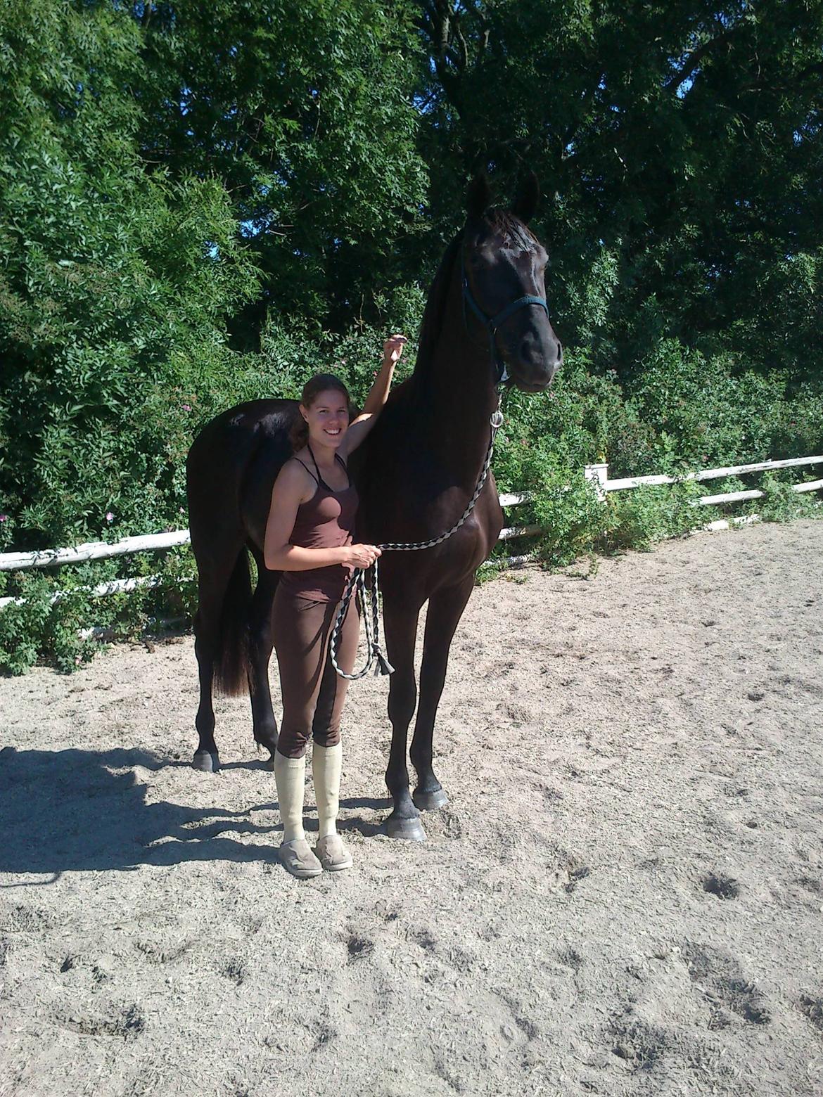 Dansk Varmblod Ryttergaardens Lawinsky solgt billede 6