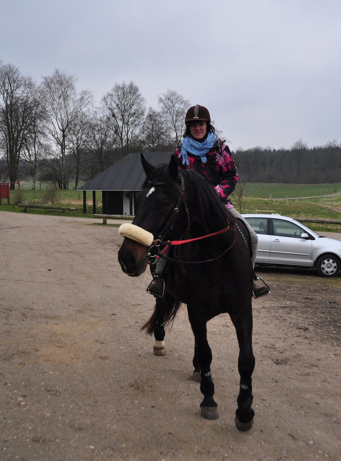 Oldenborg Sigersholmgårds Uno-boy - As your faith is strengthened you will find that there is no longer the need to have a sense of control, that things will flow as they will, and that you will flow with them, to your great delight and benefit. billede 16