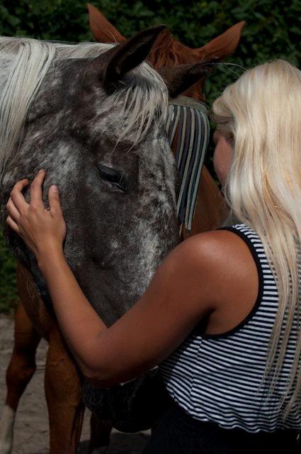 Knabstrupper Friis' Safia billede 14