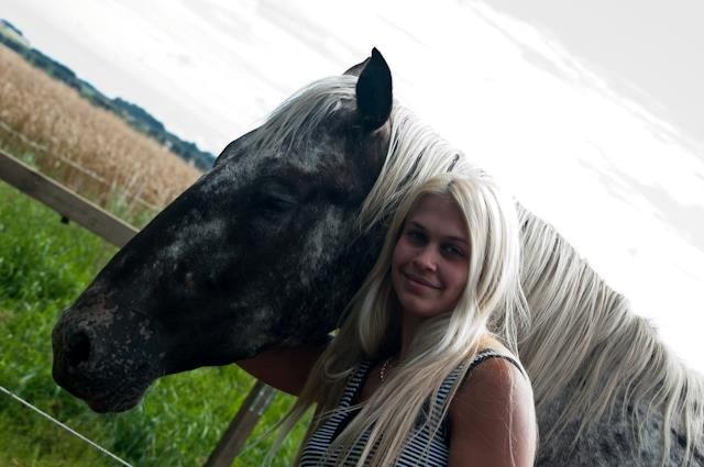 Knabstrupper Friis' Safia billede 16