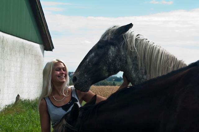 Knabstrupper Friis' Safia billede 18