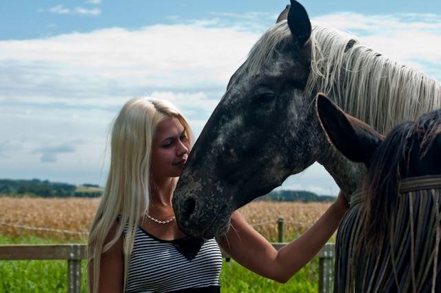 Knabstrupper Friis' Safia billede 20