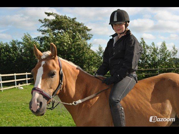 Haflinger Sofie - I denne verden er du måske kun et menneske, men for ét menneske, kan du betyde en verden til forskel.
Foto: MAL billede 8