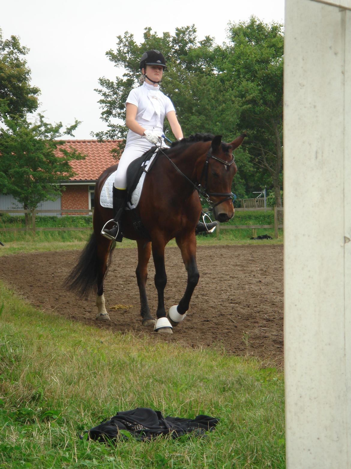 New Forest Langmarksgaards Nancerré - Hammerum pony uge 2012
Opv. Til LC3 billede 16