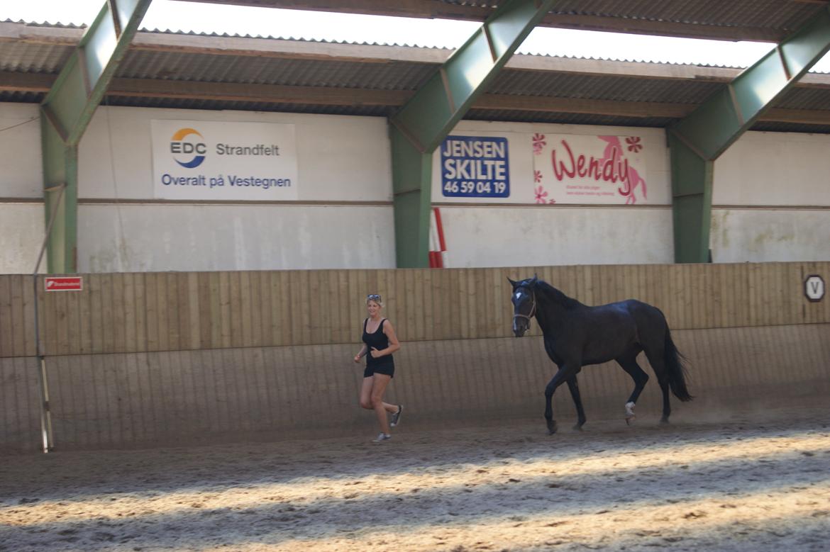 Oldenborg Dulcis Chagall billede 19