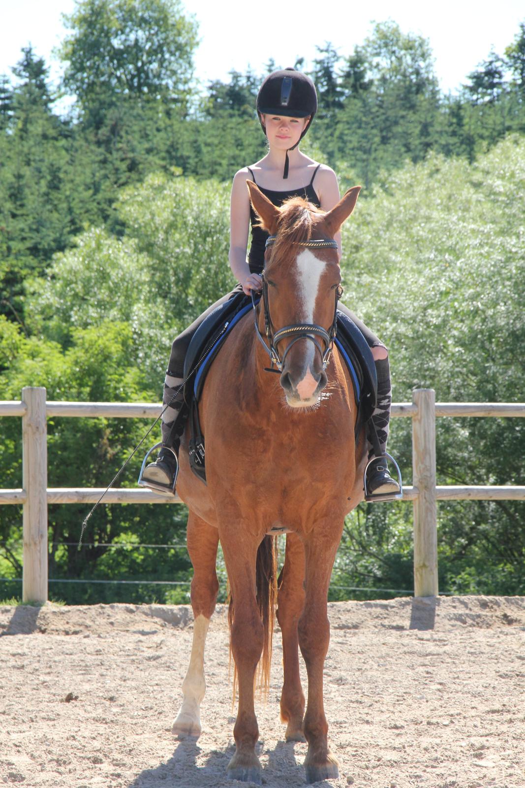 Frederiksborg Østervangs Fleur De Lis billede 9