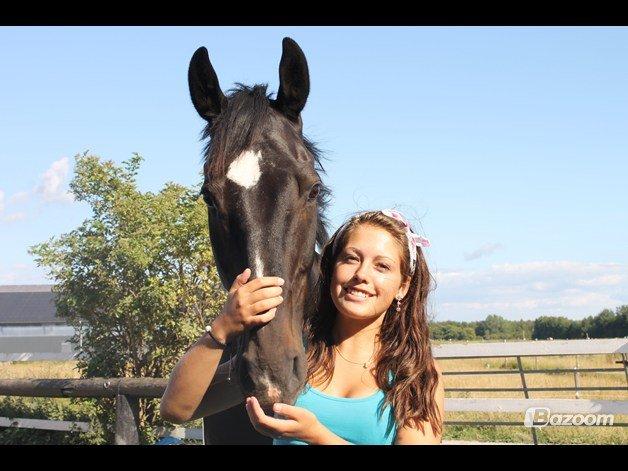 Dansk Varmblod Sazkibard S - MinShishKebab<3 - You light up my world like nobody else.. Jeg elsker dig.
Foto: LDH billede 6