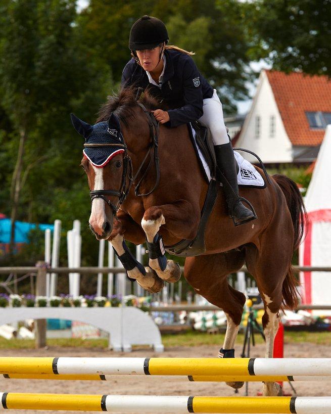Tysk Oldenburger Gørklitgårds Octana - KAR OPEN 2012 - LC debut, dobbelt 0 og placering i begge klasser billede 1