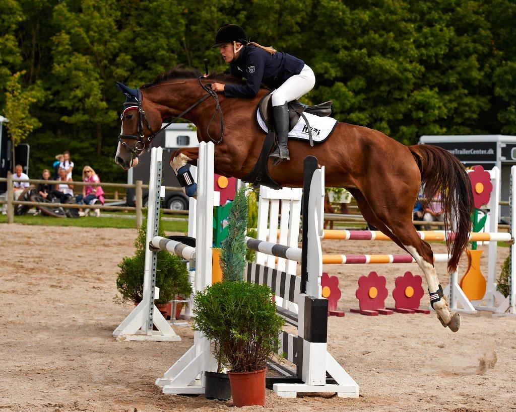 Tysk Oldenburger Gørklitgårds Octana - KAR OPEN 2012 - LC debut, dobbelt 0 og placering i begge klasser billede 2