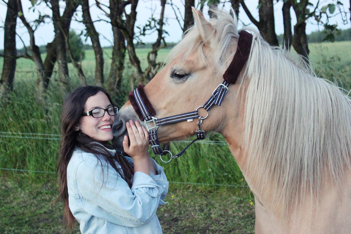 Anden særlig race Tøsen (-:. billede 18