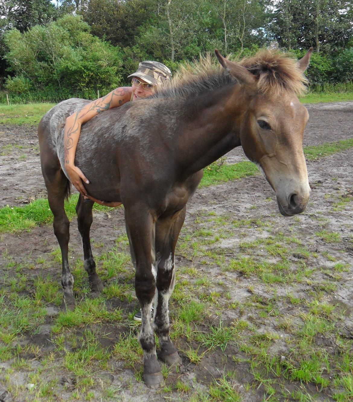 Anden særlig race Klitgaards Maximilian*R.I.P* billede 32