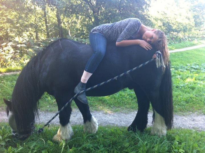 Tinker Dr. Wolle billede 19