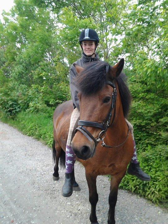 Anden særlig race Björk  - Mig og min over dejlige pony skridter af på en tur :) billede 2