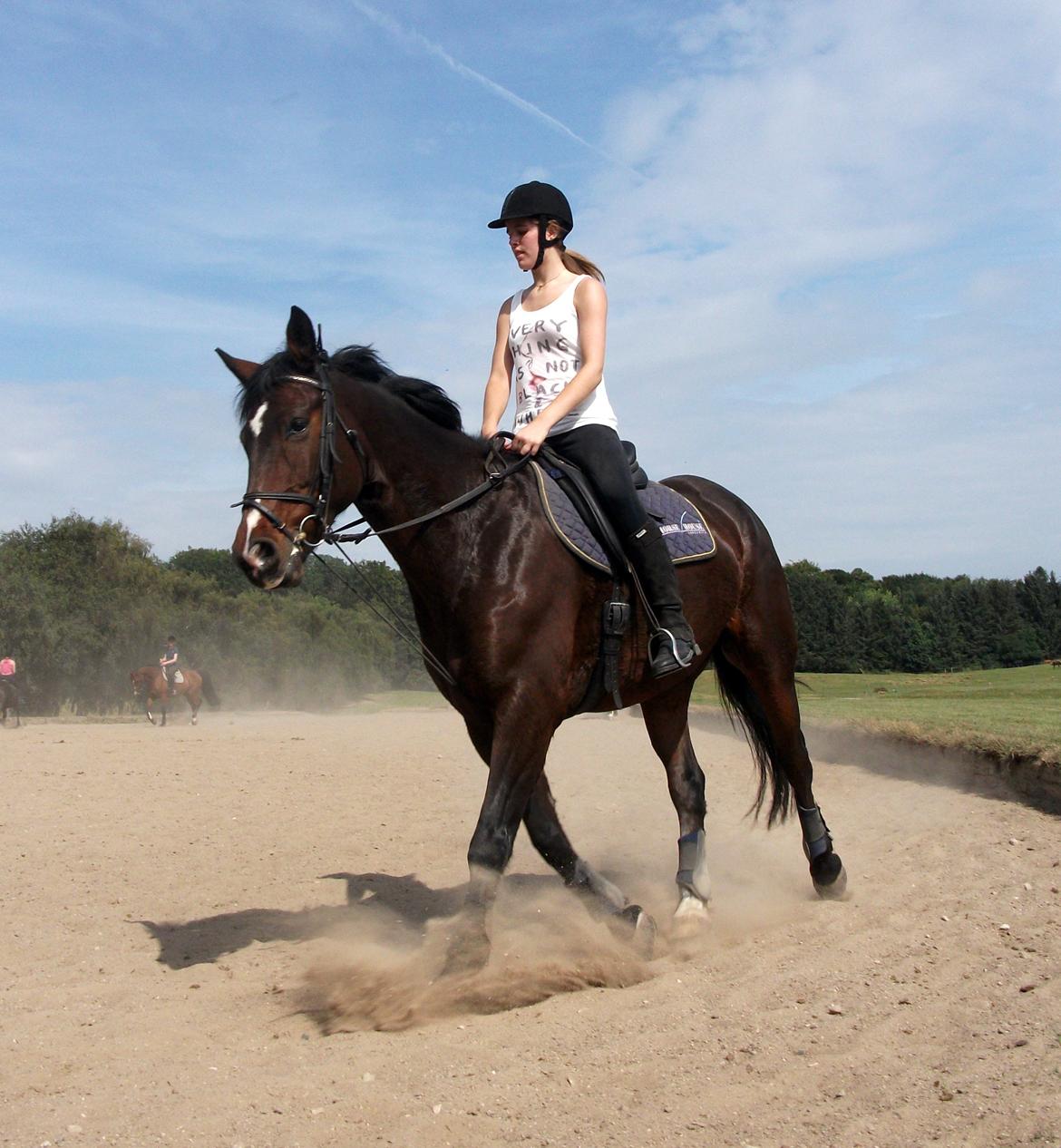 Anden særlig race Snøvsen [Tidl. passer] - Dressur - August 2012 billede 7