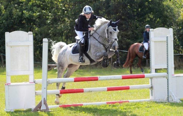 Hollandsk Sportspony Spice Girll billede 16