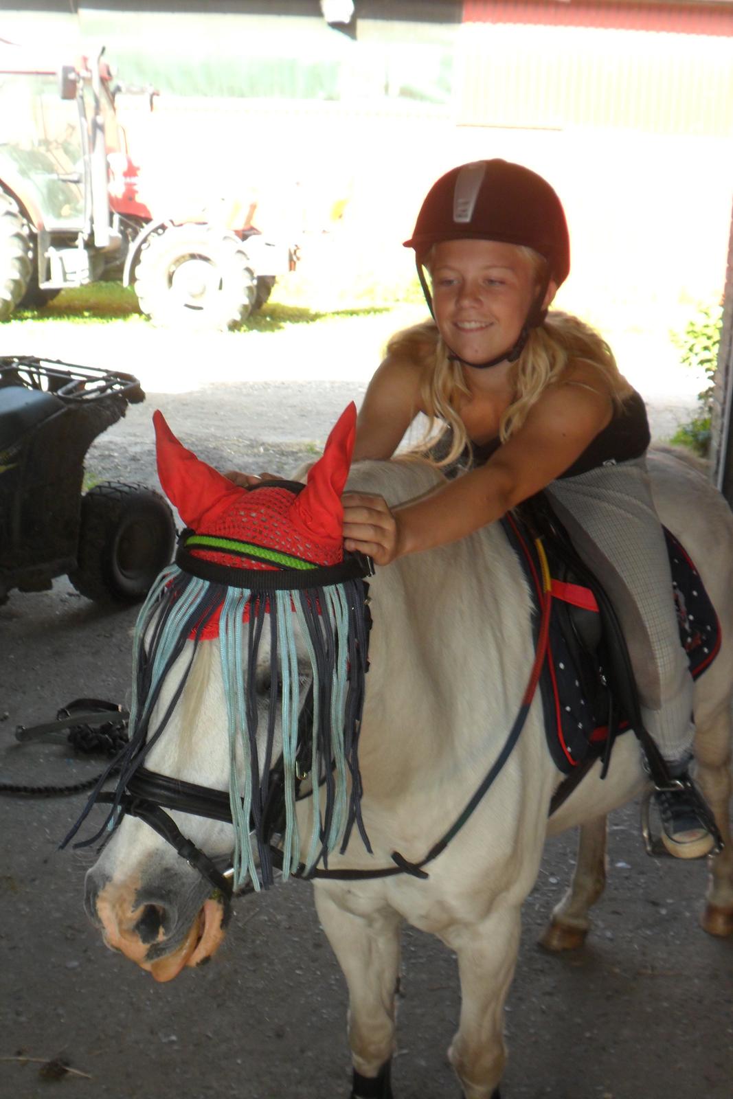 Welsh Pony (sec B) Apollon - polle <3 *SAVNES* - På vej til tur, sammen med Signe :-* billede 18