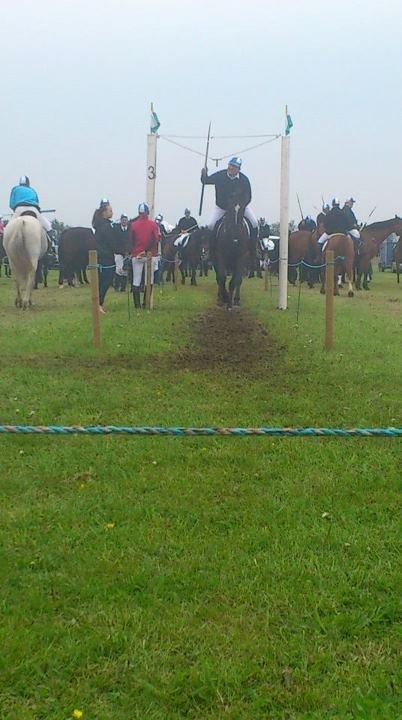 Anden særlig race Polly (min fars) - Polly er bare blevet en engel til ringridning! :) billede 1