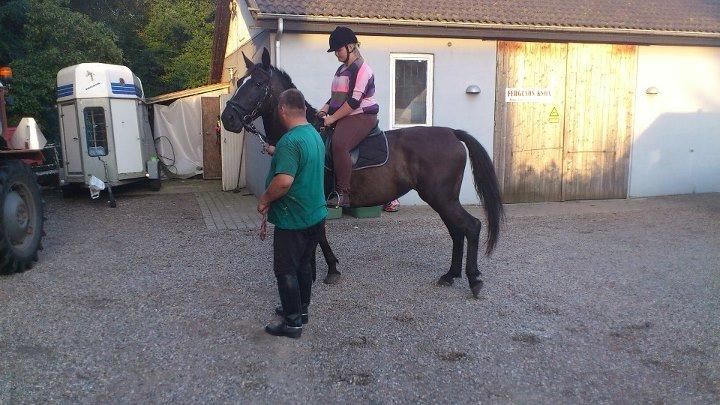 Anden særlig race Polly (min fars) - Anden gang JEG er på ryggen af Polly :) billede 4