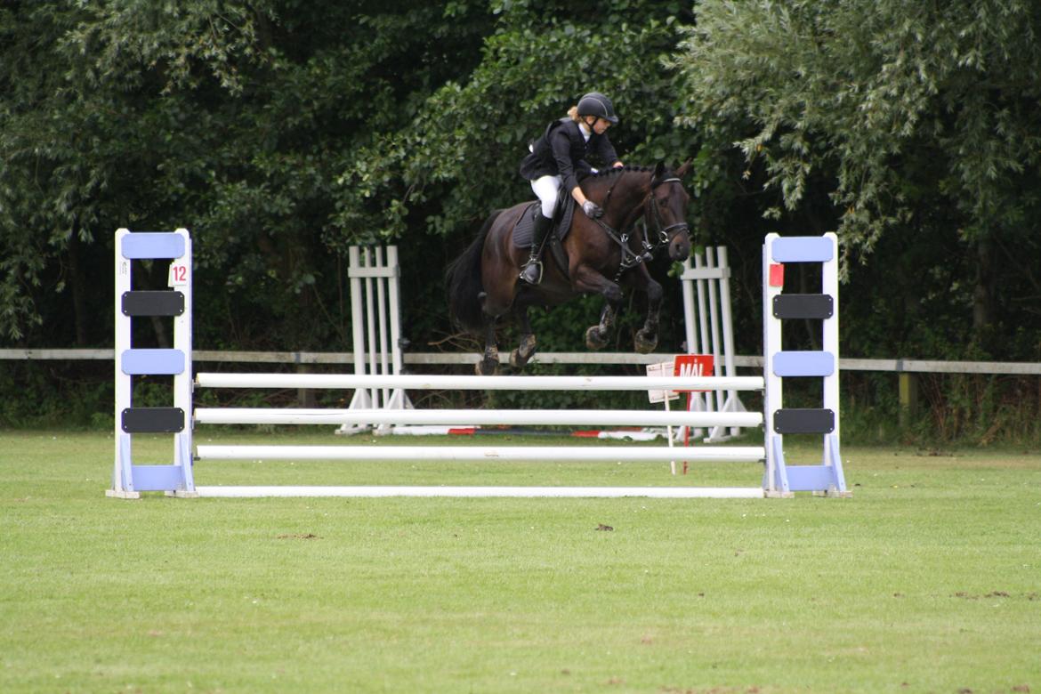 Dansk Varmblod Libaks Gemini aka. Gemse - Første stævne sammen, LD billede 16