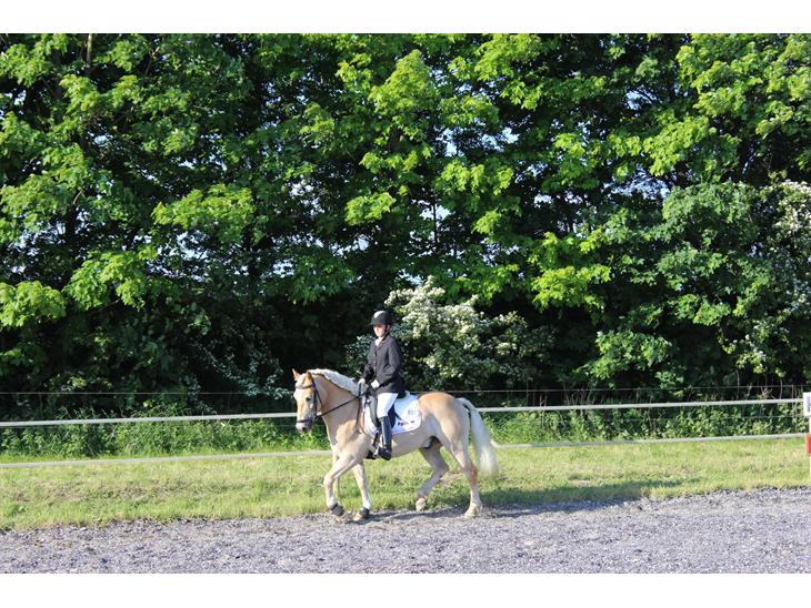 {{currentPhoto.altText}} billede {{currentPhoto.number}}