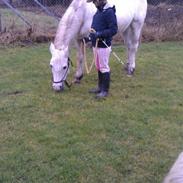 Connemara Hovfelds Chopin