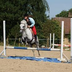 DSP Nordenhøjs Freja SOLGT