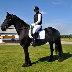 Frieser Geartsje Tjimske K. [Solgt]