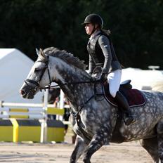 Dansk Varmblod Nicolina Lille Lunden