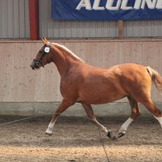 Frederiksborg Spica Skibstrup