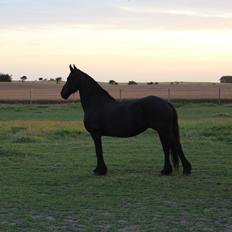 Frieser Wietske fan't Slyp