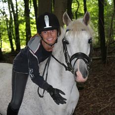 Welsh Pony af Cob-type (sec C) Bugatti