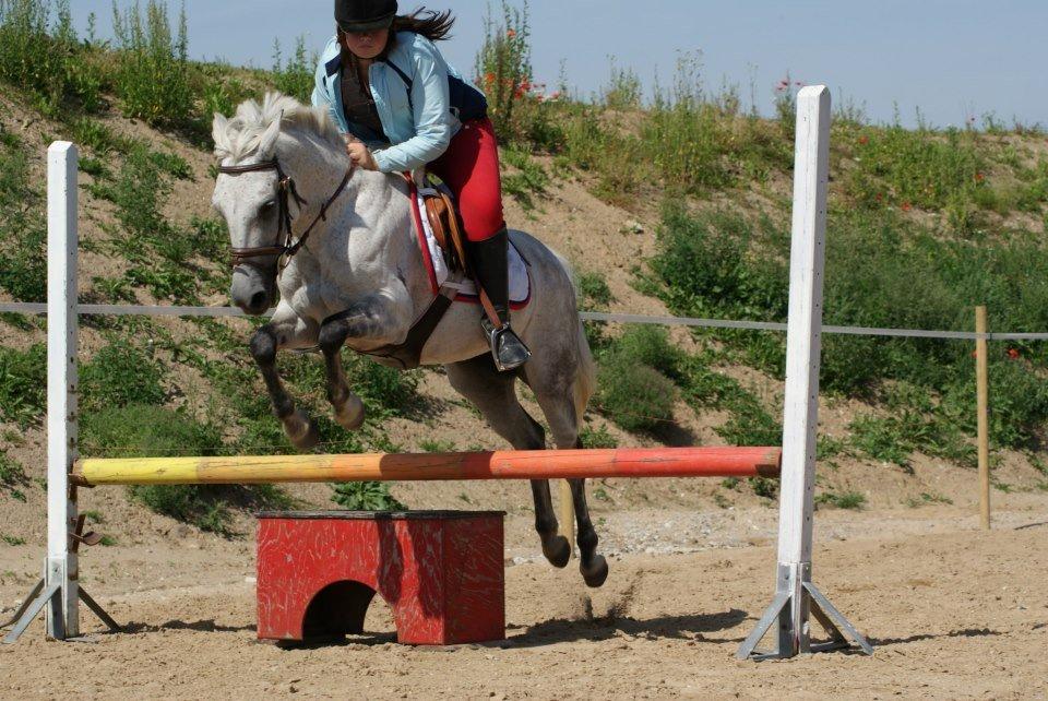 DSP Nordenhøjs Freja SOLGT billede 12