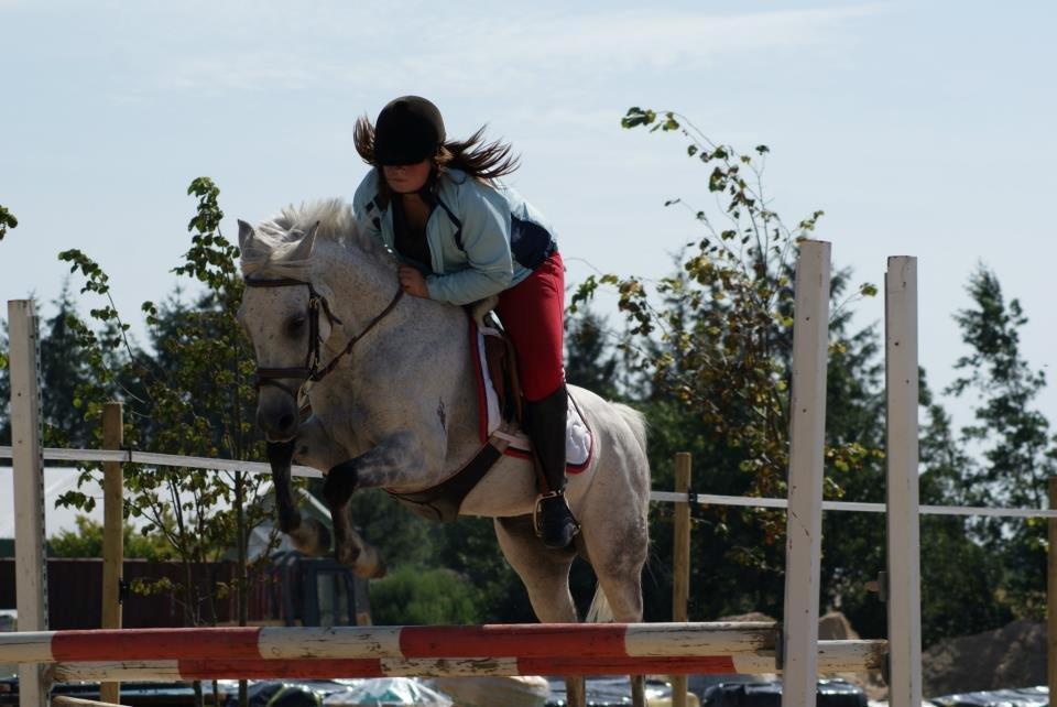 DSP Nordenhøjs Freja SOLGT billede 7