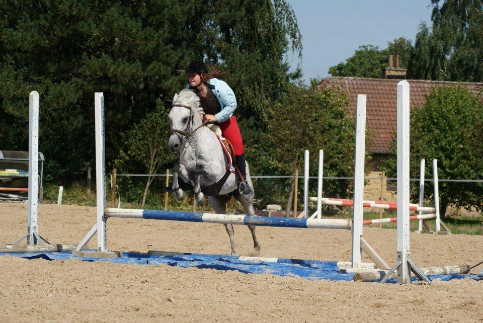 DSP Nordenhøjs Freja SOLGT billede 3