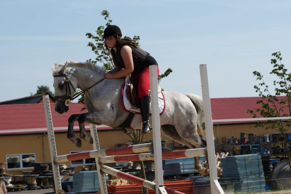 DSP Nordenhøjs Freja SOLGT billede 14
