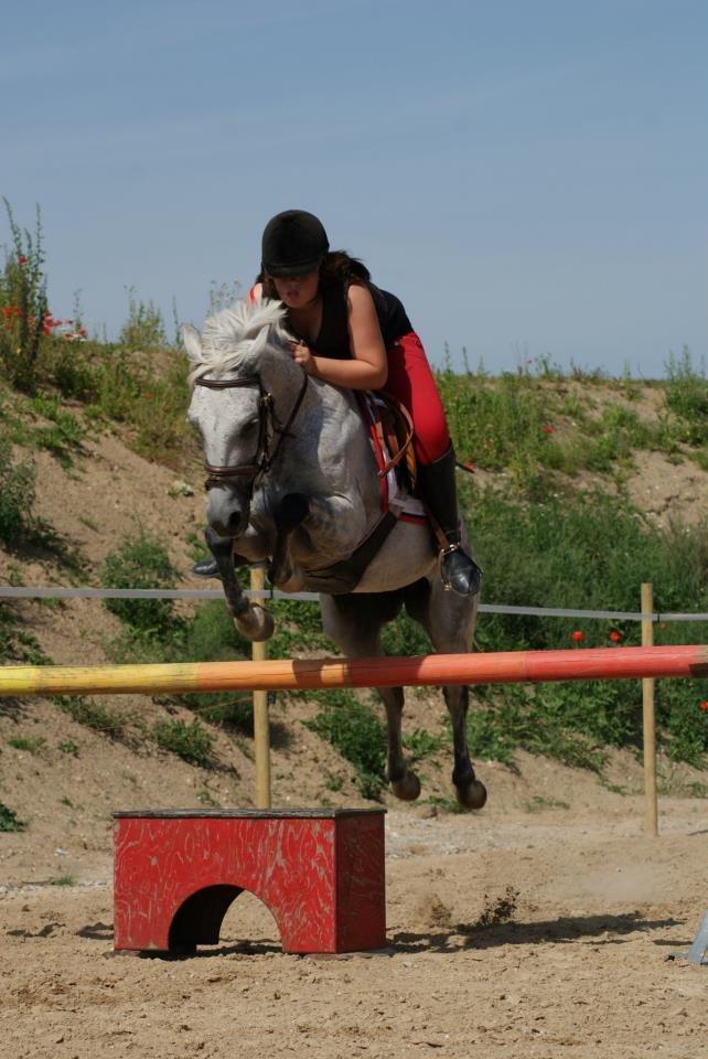 DSP Nordenhøjs Freja SOLGT billede 8