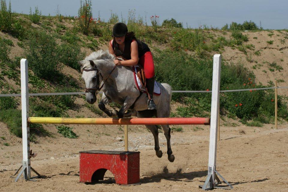 DSP Nordenhøjs Freja SOLGT billede 1