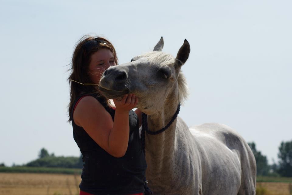 DSP Nordenhøjs Freja SOLGT billede 15
