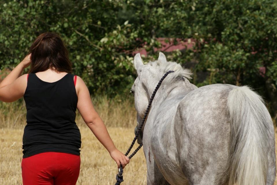 DSP Nordenhøjs Freja SOLGT billede 16