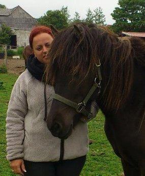 Islænder Vólva Fra Jotunheim billede 1