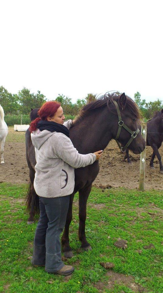 Islænder Vólva Fra Jotunheim billede 2