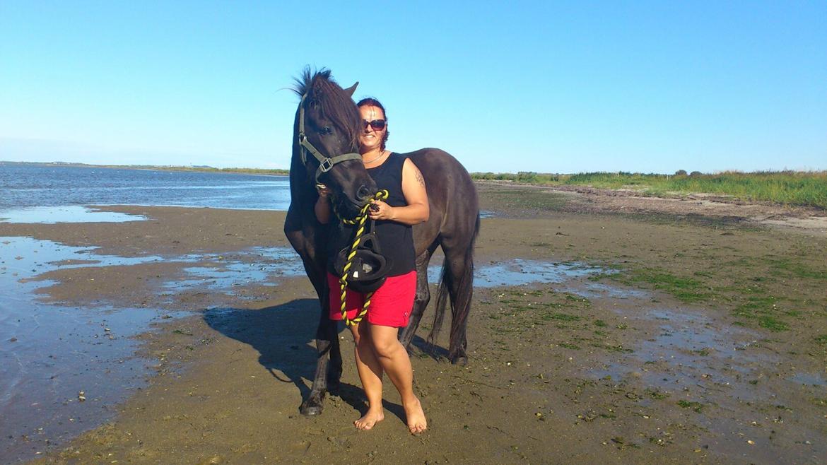 Islænder Vólva Fra Jotunheim billede 6