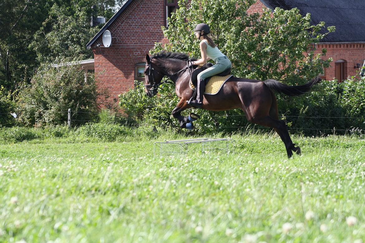Traver Pia H S (Becca) - Det ser sygt ud, desværre er jeg ikke så god til at springe endnu. :-( billede 4