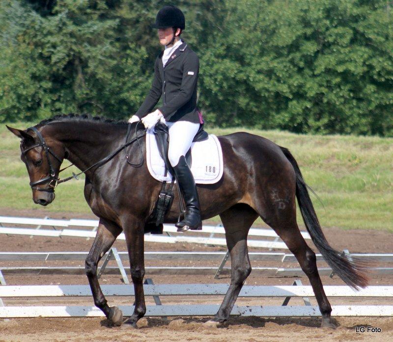 Trakehner Atlina - Foto: Gøtterup's foto
Billederne må ikke bruges uden tilladelse. billede 12