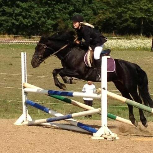 Connemara Jasmin - Sponsorspringstævne!<3
Taget af: Sanne. billede 2