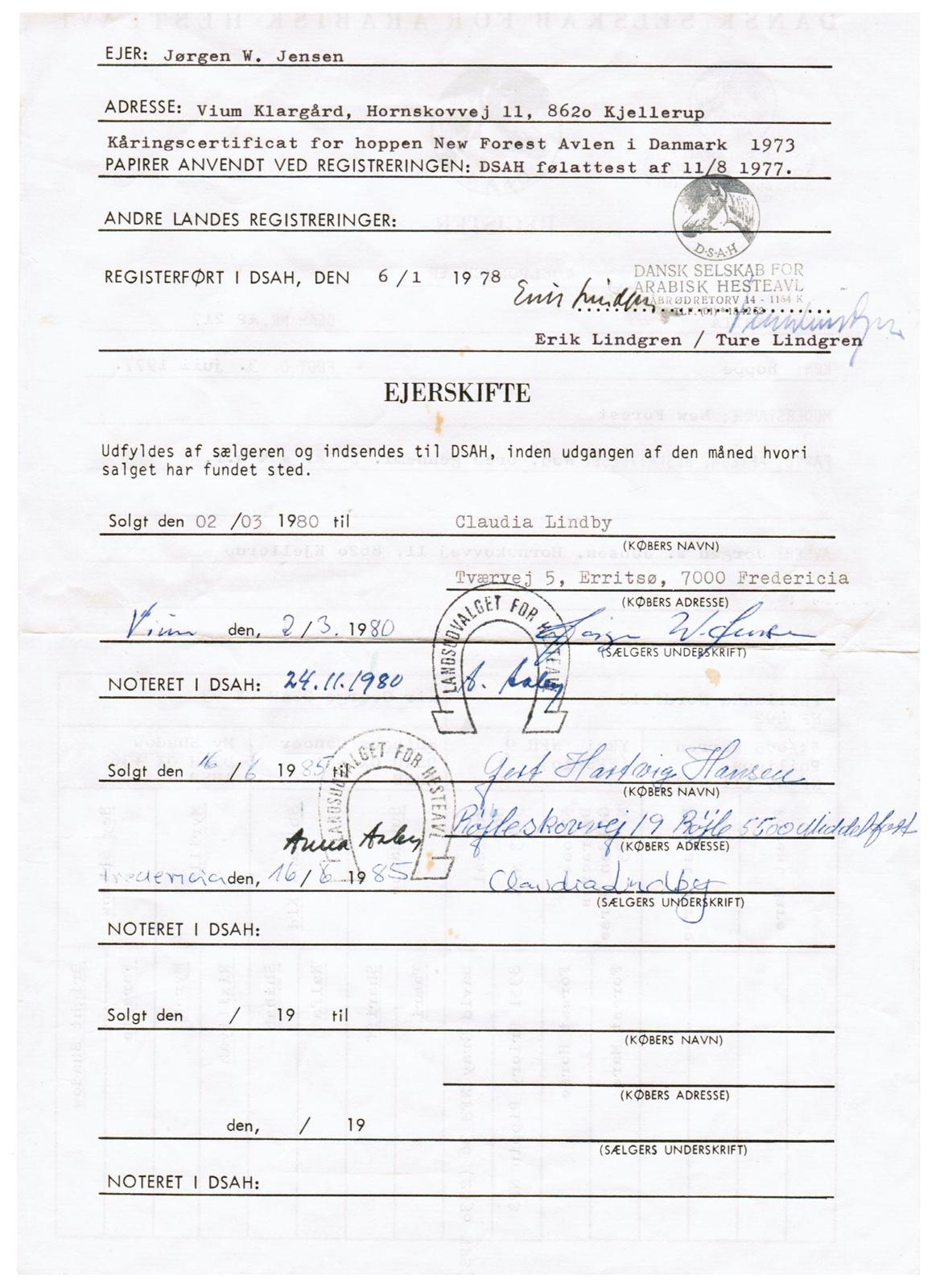 Sportsaraber (A) Dabita DSAH NR. ÆB 217 R:I:P billede 8